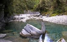 Cameron Valley Track