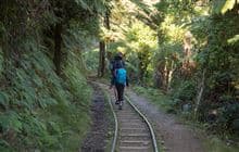 Karangahake Windows Walk
