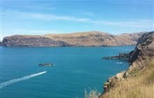 Akaroa Head Scenic Reserve walk