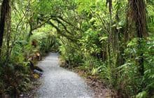 Douglas Walk