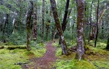 Borland Nature Walk