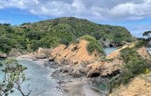 Tutukaka Head tracks