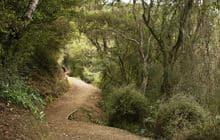 Outram Glen to Lee Stream Walk
