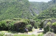 Corner Creek Campsite