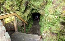 Tatare Tunnels Walk 