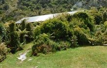Martins Bay Hut