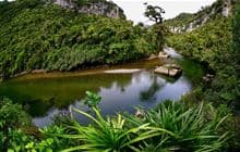 Pororari River Track