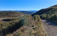 Union Creek Track