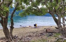 Pipi Beach Campsite