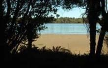 Pounawea nature walks