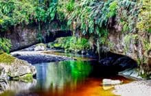 Ōparara Basin: Moria Gate and Mirror Tarn Loop