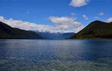 Lake Rotoroa Nature Walk