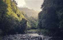 Ohau Gorge Track