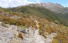 Flora Circuit (via Mt Arthur Hut and Flora Hut)