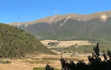 Lake Rotoiti (West Bay) walks