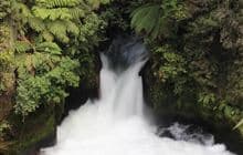 Ōkere Falls Track