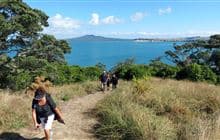 Motuihe Island tracks