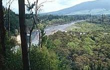 Pokaka Mill Campsite