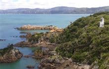 Matiu/Somes Island Loop Track