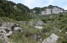 Johnson Creek Track