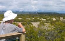 Wilderness Lookout Walk