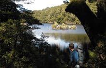 Manuoha to Waikareiti Track