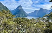 Milford Sound Lookout Track