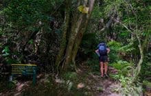 Waiopehu Track (Poads Road to Waiopehu Hut)