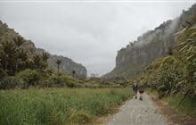 Punakaiki – Pororari Loop