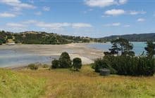 Motukiore Island Walk