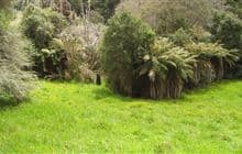 Johnsons Campsite