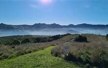 Ōtamahua/Quail Island tracks