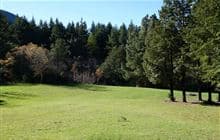 Wooded Gully Campsite