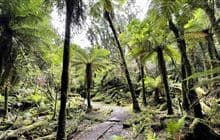 Moraine Walk