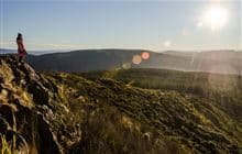 Grahams Bush Walkway