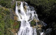 Carew Falls Track