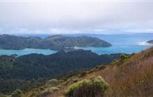 Knuckle Hill Track