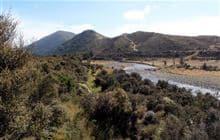 Aparima River Track