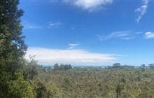 Hapuka Estuary Walk