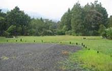 Catleys Campsite