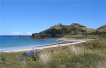 Medlands Beach Campsite