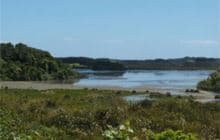 Papaitonga Track