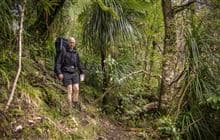 Lower Waiohine Track