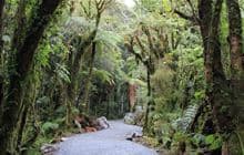 Te Ara a Waiau Walkway/Cycleway