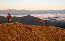 Alpine Route