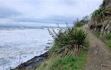 Monkey Bay Walk