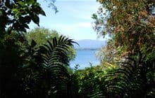 Pukawa Bay walks