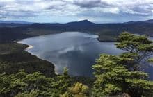 Lake Hauroko Lookout Track