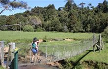 Karakariki Track