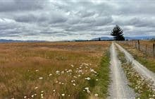 Pukaki Flats walk